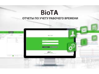 Программа BioTA. Отчеты по учету рабочего времени